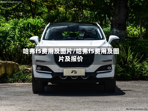 哈弗f5费用及图片/哈弗f5费用及图片及报价