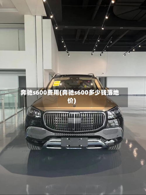 奔驰s600费用(奔驰s600多少钱落地价)-第2张图片