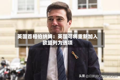 英国首相伯纳姆：英国可将重新加入欧盟列为选项-第2张图片