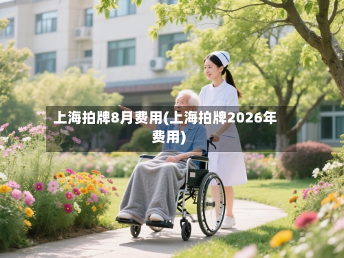 上海拍牌8月费用(上海拍牌2026年费用)