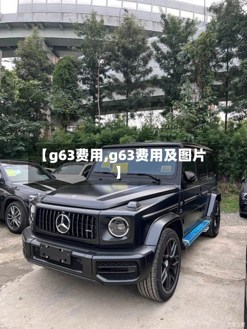 【g63费用,g63费用及图片】-第3张图片