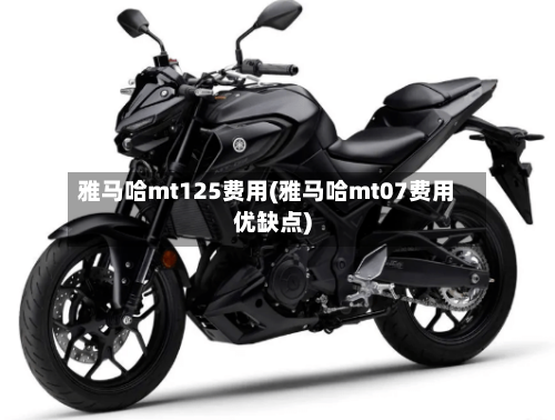 雅马哈mt125费用(雅马哈mt07费用优缺点)