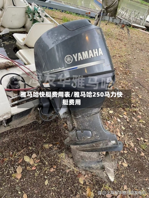 雅马哈快艇费用表/雅马哈250马力快艇费用-第3张图片