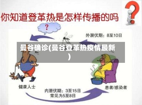 曼谷确诊(曼谷登革热疫情最新)-第3张图片