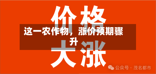 这一农作物，涨价预期骤升