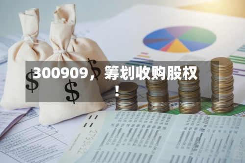 300909，筹划收购股权！-第3张图片
