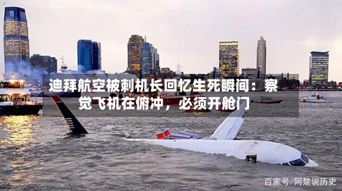 迪拜航空被刺机长回忆生死瞬间:察觉飞机在俯冲,必须开舱门