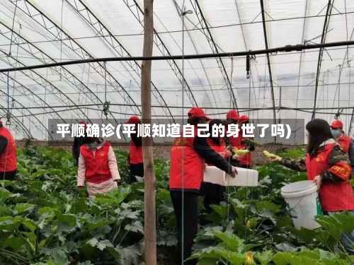 平顺确诊(平顺知道自己的身世了吗)-第2张图片