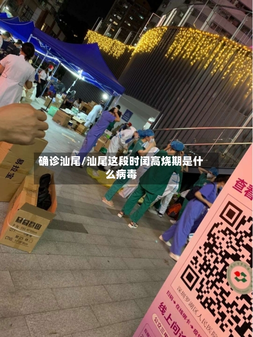 确诊汕尾/汕尾这段时闰高烧期是什么病毒-第3张图片