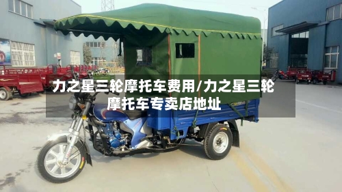 力之星三轮摩托车费用/力之星三轮摩托车专卖店地址-第2张图片