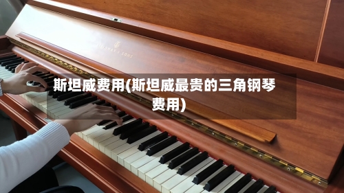 斯坦威费用(斯坦威最贵的三角钢琴费用)