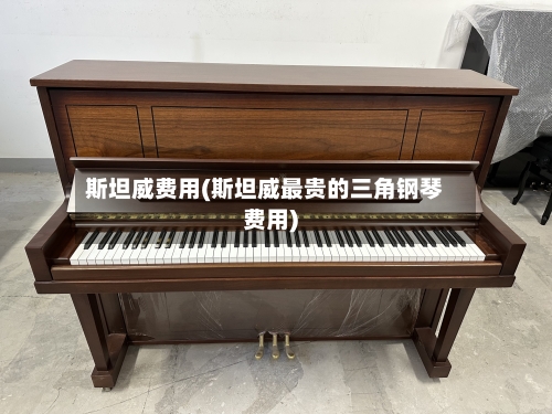 斯坦威费用(斯坦威最贵的三角钢琴费用)-第3张图片