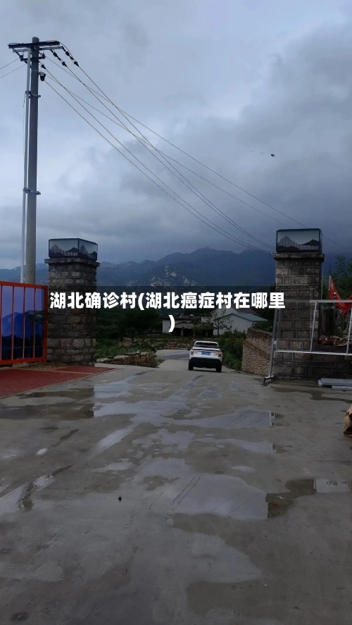 湖北确诊村(湖北癌症村在哪里)