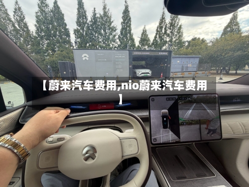 【蔚来汽车费用,nio蔚来汽车费用】-第2张图片