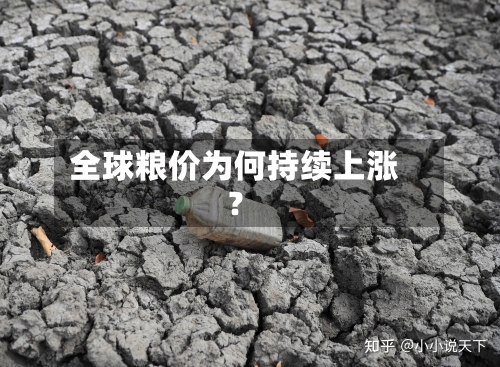 全球粮价为何持续上涨?-第3张图片
