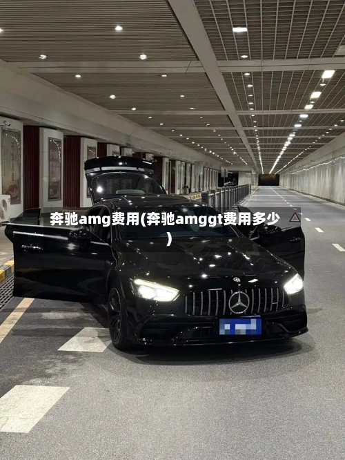 奔驰amg费用(奔驰amggt费用多少)-第2张图片