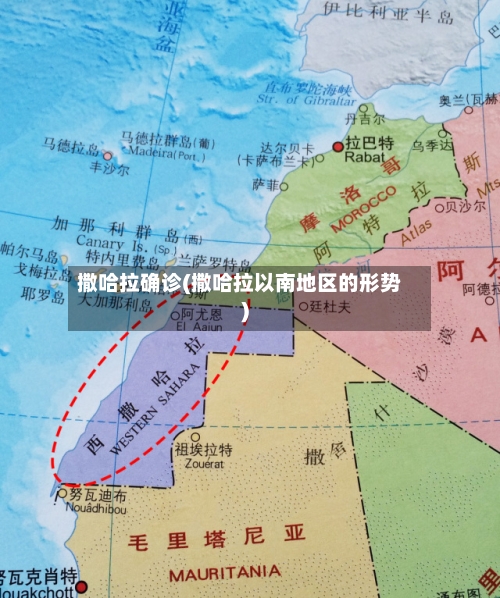 撒哈拉确诊(撒哈拉以南地区的形势)-第2张图片