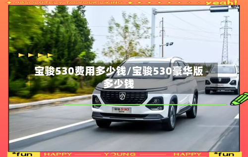 宝骏530费用多少钱/宝骏530豪华版多少钱-第2张图片