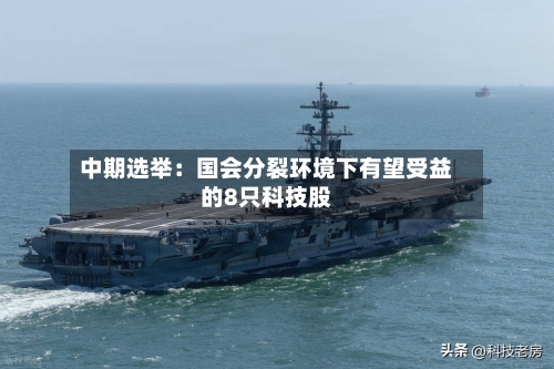 中期选举:国会分裂环境下有望受益的8只科技股