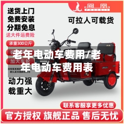 老年电动车费用/老年电动车费用表-第2张图片