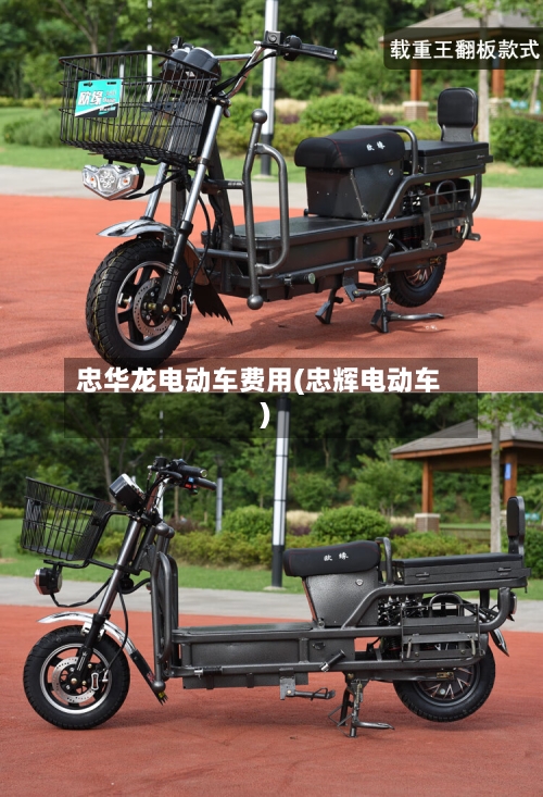 忠华龙电动车费用(忠辉电动车)