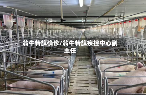 翁牛特旗确诊/翁牛特旗疾控中心副主任-第2张图片