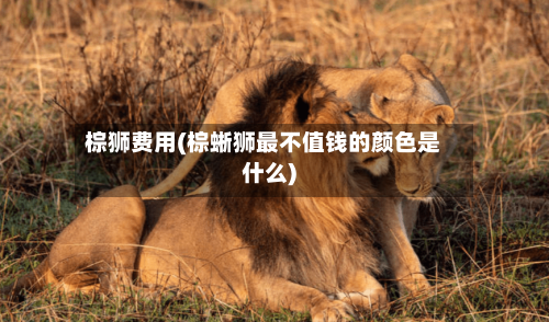 棕狮费用(棕蜥狮最不值钱的颜色是什么)-第2张图片