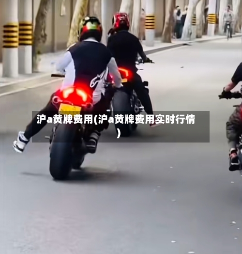沪a黄牌费用(沪a黄牌费用实时行情)