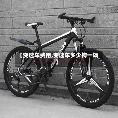 【变速车费用,变速车多少钱一辆】