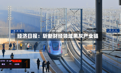 经济日报:斩断财经领域黑灰产业链-第3张图片