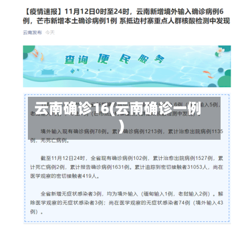 云南确诊16(云南确诊一例)