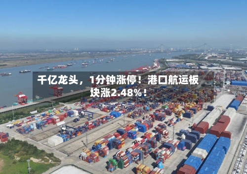 千亿龙头，1分钟涨停！港口航运板块涨2.48%！-第2张图片
