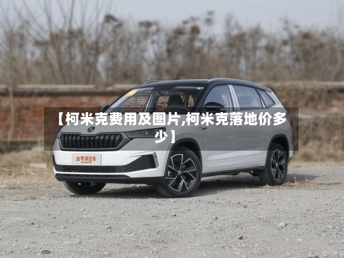 【柯米克费用及图片,柯米克落地价多少】-第3张图片