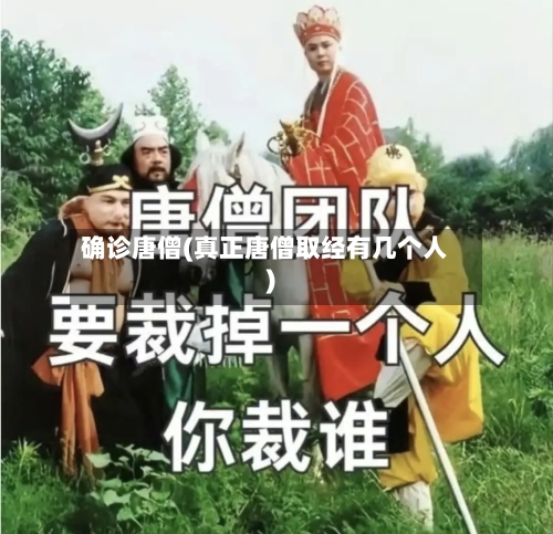 确诊唐僧(真正唐僧取经有几个人)