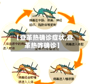 【登革热确诊症状,登革热咋确诊】-第3张图片
