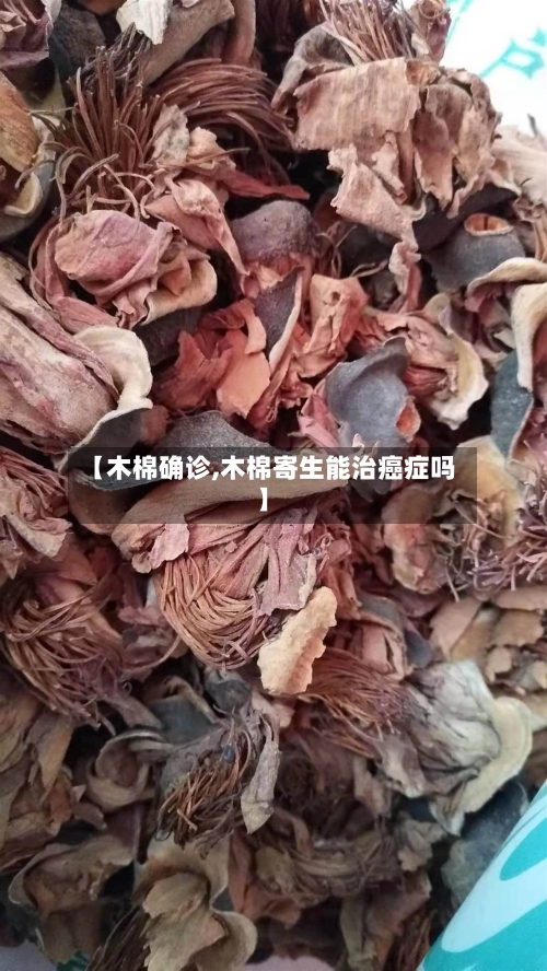 【木棉确诊,木棉寄生能治癌症吗】