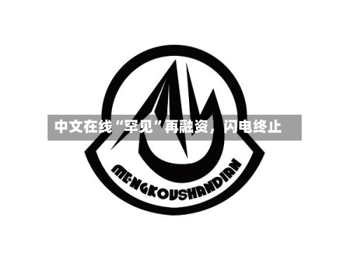 中文在线“罕见”再融资，闪电终止