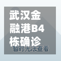 武汉金融港B4栋确诊/武汉金融港最厉害三个公司