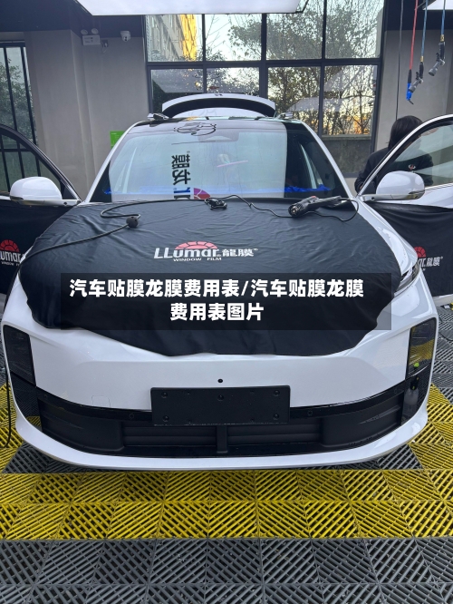 汽车贴膜龙膜费用表/汽车贴膜龙膜费用表图片-第3张图片