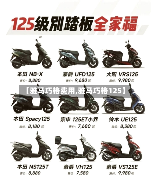 【雅马巧格费用,雅马巧格125】