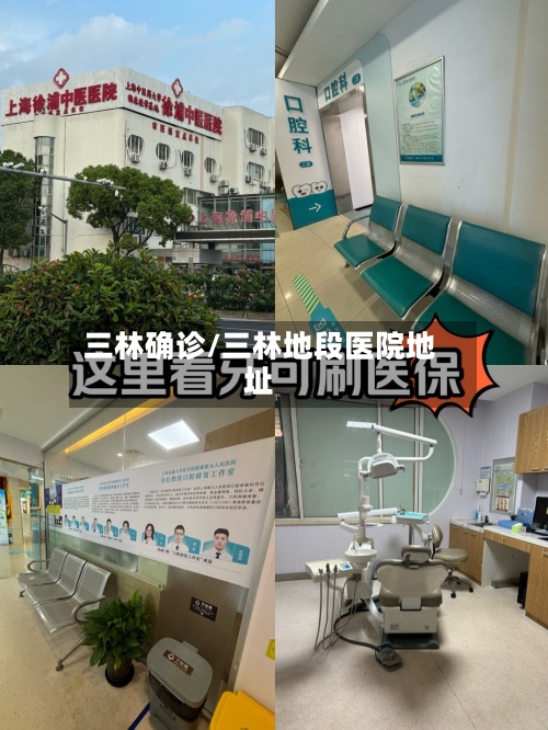 三林确诊/三林地段医院地址