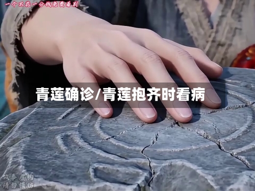 青莲确诊/青莲抱齐时看病-第2张图片