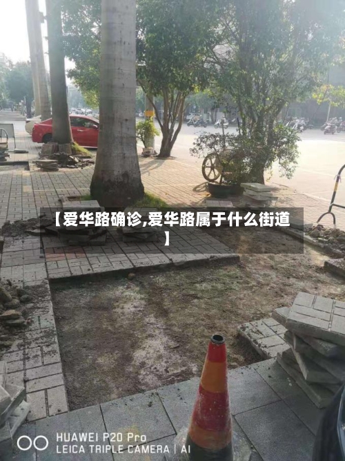 【爱华路确诊,爱华路属于什么街道】