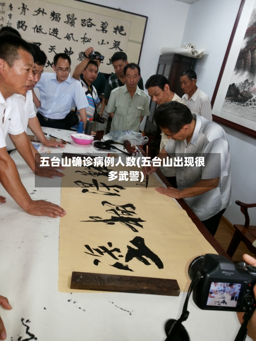 五台山确诊病例人数(五台山出现很多武警)-第3张图片