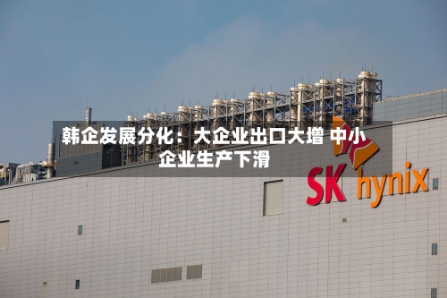 韩企发展分化：大企业出口大增 中小企业生产下滑-第3张图片