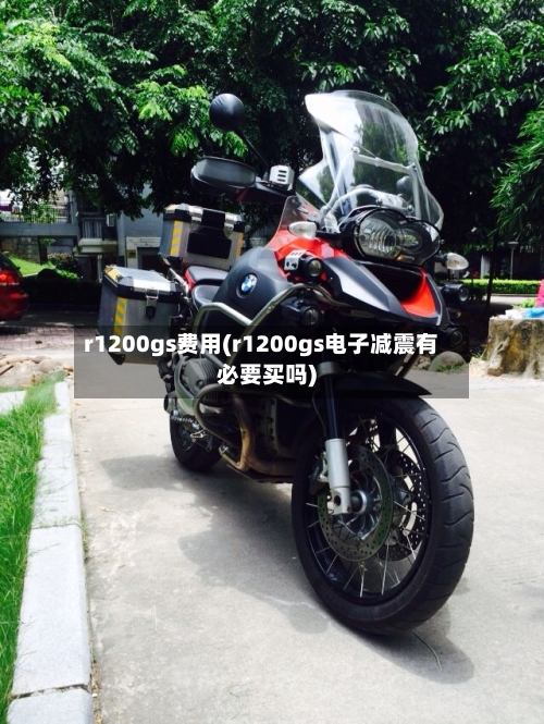 r1200gs费用(r1200gs电子减震有必要买吗)-第2张图片