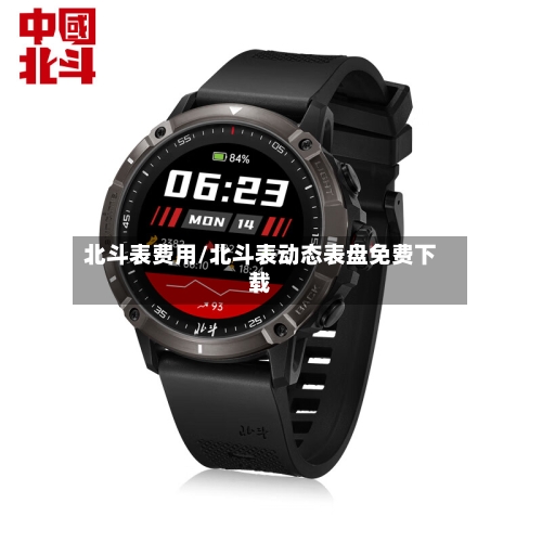 北斗表费用/北斗表动态表盘免费下载