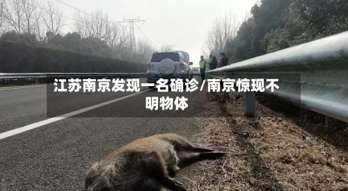 江苏南京发现一名确诊/南京惊现不明物体