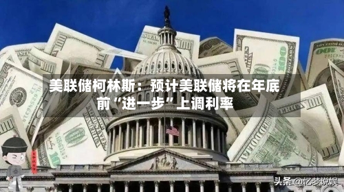 美联储柯林斯:预计美联储将在年底前“进一步”上调利率