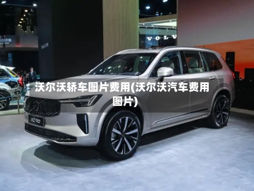 沃尔沃轿车图片费用(沃尔沃汽车费用图片)-第3张图片